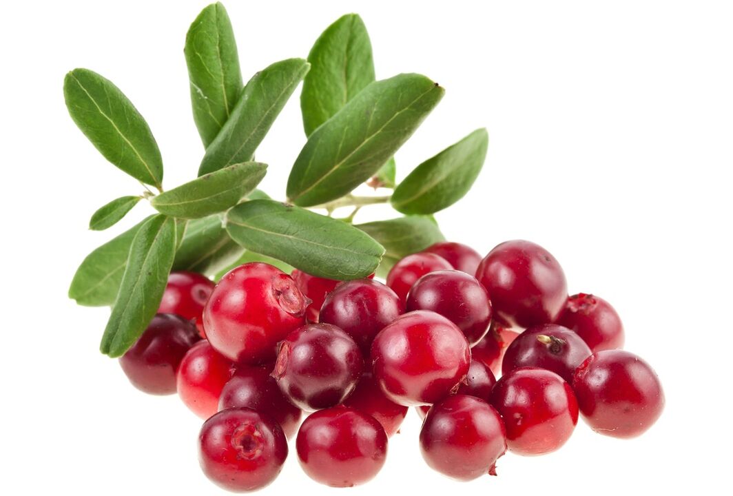 cranberry zistitisaren tratamendurako